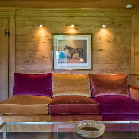 Gstaad - Great Luxurious Prázdninový dům