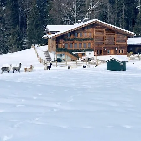 Gstaad - Great Luxurious Prázdninový dům