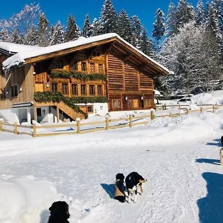 Gstaad - Great Luxurious بيت للعطل